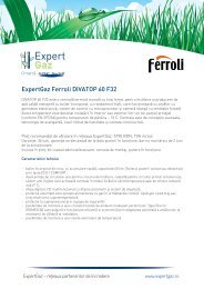 ExpertGaz Ferroli DIVATOP 60 F32