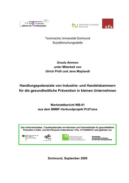 Handlungspotenziale von Industrie- und Handelskammern