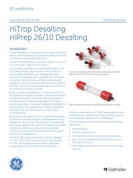 PD-10 Desalting column