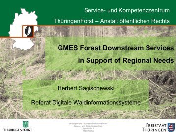 EUFODOS European Forest Downstream Service - geoland