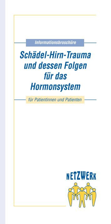 PDF-Download der Broschüre "Schädel-Hirn-Trauma" - Netzwerk ...