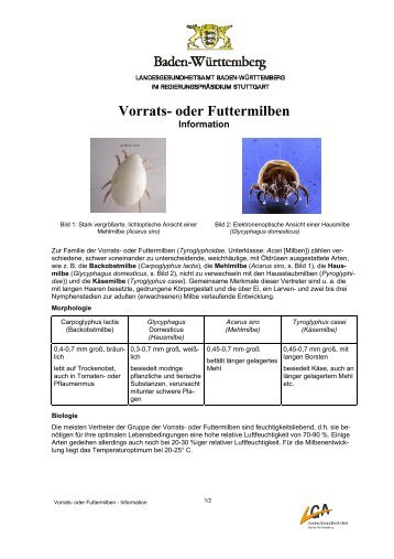 Vorratsmilben-Information