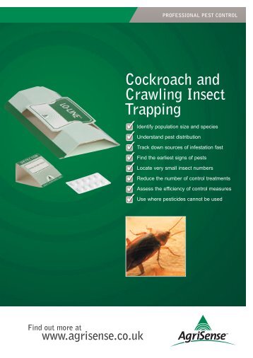 Cockroach and Crawling Insect Trapping - Globe Australia