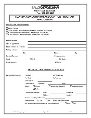 Florida Condo Association Form