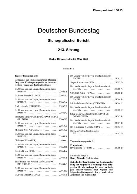 213. Sitzung - Deutscher Bundestag