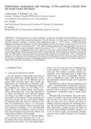 Deformation mechanisms and rheology of Pre-cambrian rocksalt ...