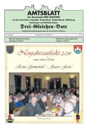 Neujahrsauftakt 2011 - Gemeinde-drei-gleichen.de