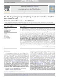 BIB-SEM study of the pore space morphology in early mature ...