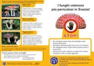 I funghi velenosi più pericolosi in Svezia!