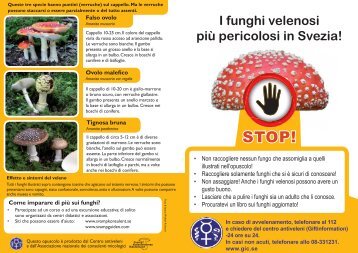 I funghi velenosi più pericolosi in Svezia!