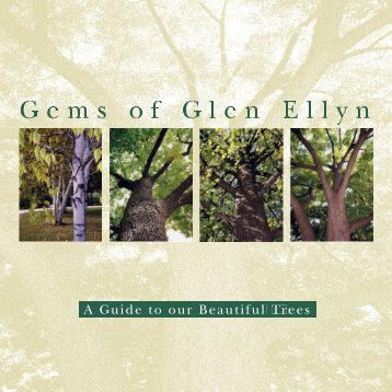 A Guide to our Beautiful Trees - The Village of Glen Ellyn