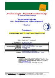 „Prozessanalyse – Organisationsentwicklung“ - Stadtgemeinde Gföhl