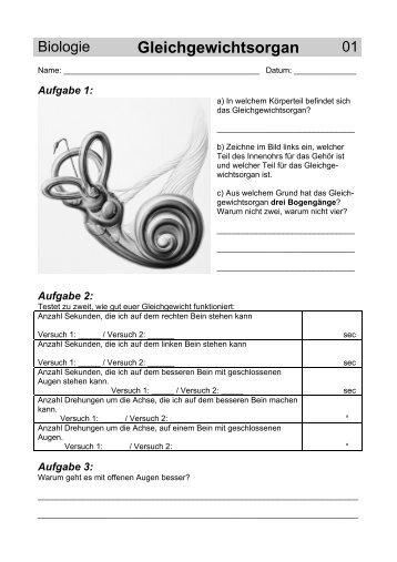 Arbeitsblätter 1-6 - Gegenschatz.net