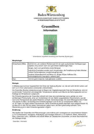 Grasmilben-Information (PDF; 70 KB)