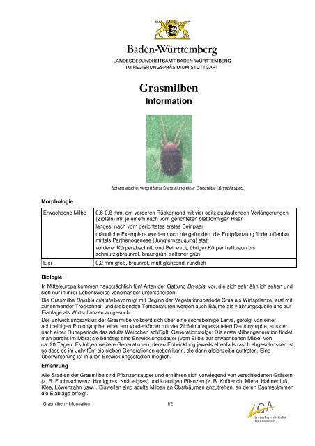 Grasmilben-Information (PDF; 70 KB)