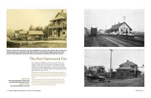 The Port Hammond Fire - Global Bird Photos Collection