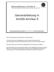 Geoverarbeitung in ArcGIS-ArcView 9