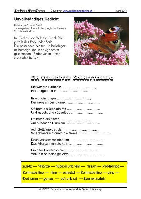 Ein verliebter Schmetterling - SVGT