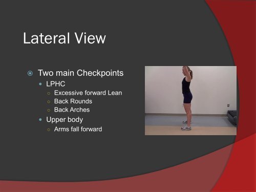 Anterior View View Anteri