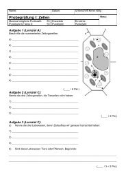 Probeprüfung I: Zellen - Gegenschatz.net