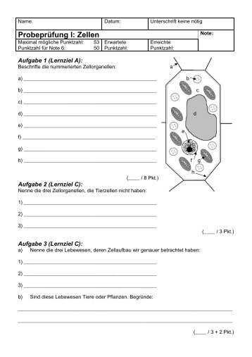 Probeprüfung I: Zellen - Gegenschatz.net