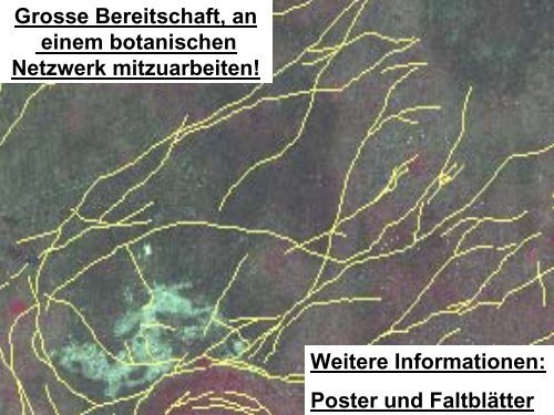 Die Floristisch-soziologische Arbeitsgemeinschaft