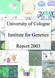Introduction - Institute for Genetics - Universität zu Köln