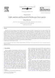 Light, nutrients and the growth of herbaceous forest species