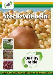 Steckzwiebel - Quality Inside - Bejo Samen GmbH