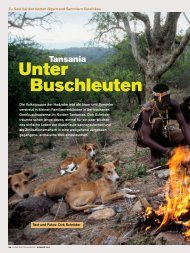 Artikel lesen (PDF) - Globetrotter