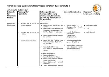 Schulinternes Curriculum Naturwissenschaften Klassenstufe 6