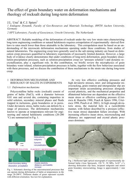 The effect of grain boundary water on deformation mechanisms and ...