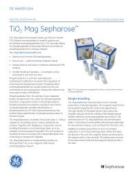 TiO2 Mag Sepharose™