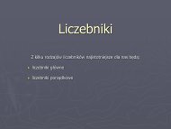 Liczebniki