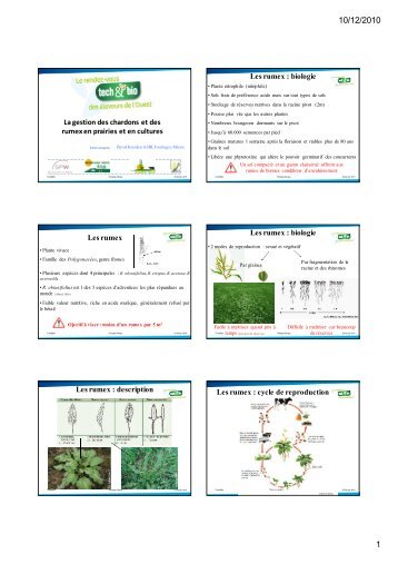 Presentation_rumex_D.. - Fourrages Mieux