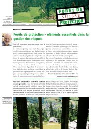 Forêts de protection – éléments essentiels dans la gestion des risques