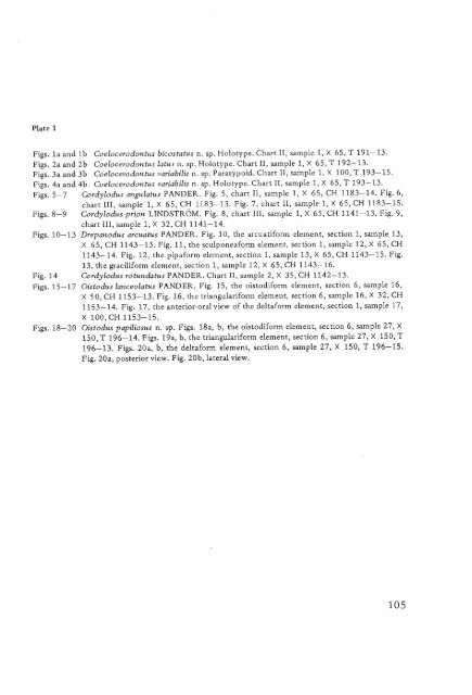 UTRECHT MICROPALEONTOLOGICAL BUllETINS