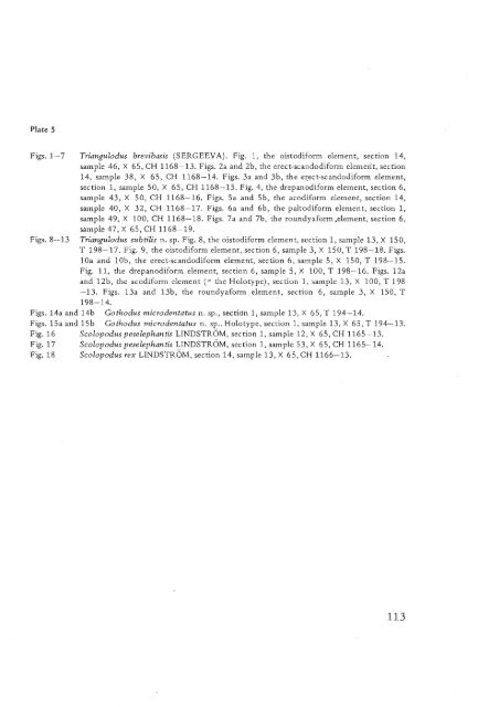 UTRECHT MICROPALEONTOLOGICAL BUllETINS