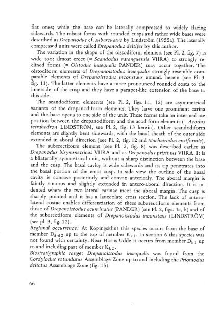 UTRECHT MICROPALEONTOLOGICAL BUllETINS