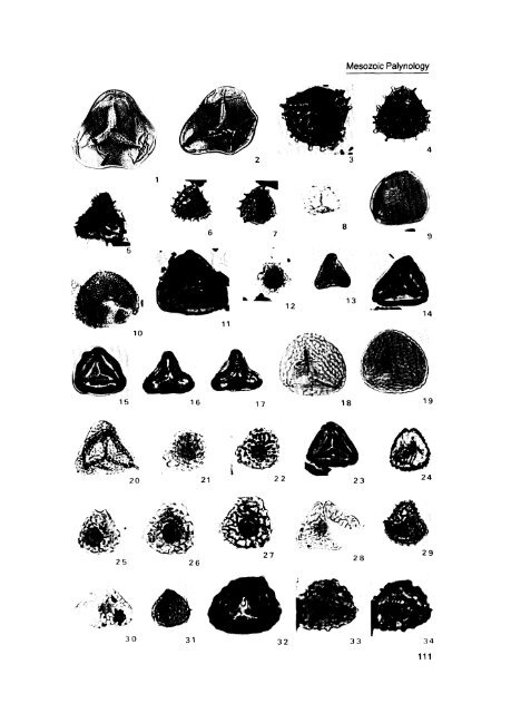 Moose River Basin: geology and mineral potential - Geology Ontario