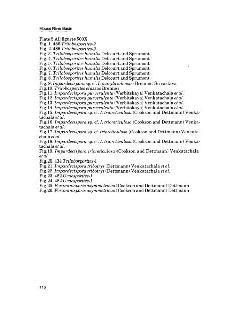 Moose River Basin: geology and mineral potential - Geology Ontario