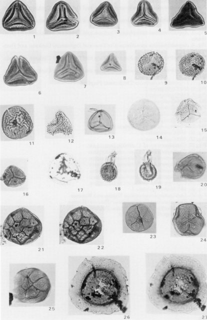 Moose River Basin: geology and mineral potential - Geology Ontario