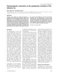 Palaeomagnetic constraints on the geodynamic evolution of the ...