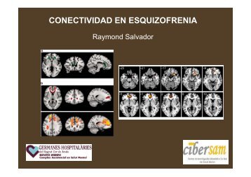 Descargar PDF - Geyseco