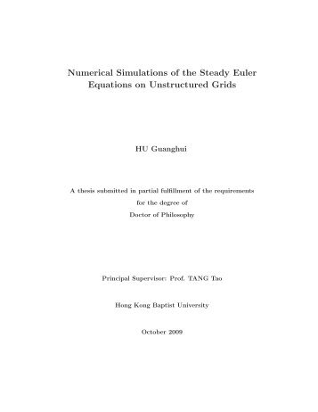 Numerical Simulations of the Steady Euler Equations on ...