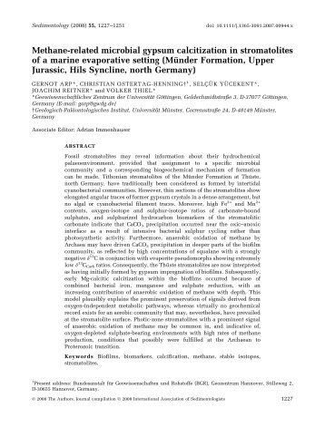 Methane-related microbial gypsum calcitization in ... - Geobiologie