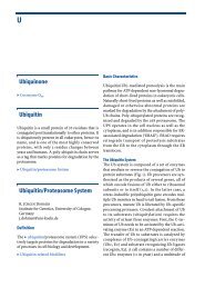 Ubiquinone Ubiquitin Ubiquitin/Proteasome System - Institute for ...