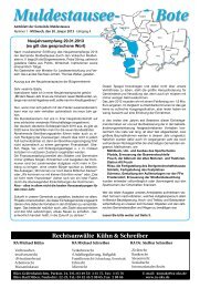 2013-01-30_Ausgabe 1 - Gemeinde Muldestausee