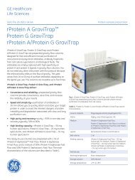 [PDF] Data File - rProtein A/Protein G GraviTrap