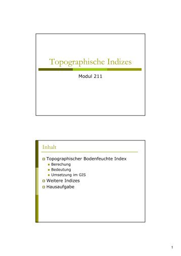 Topographische Indizes